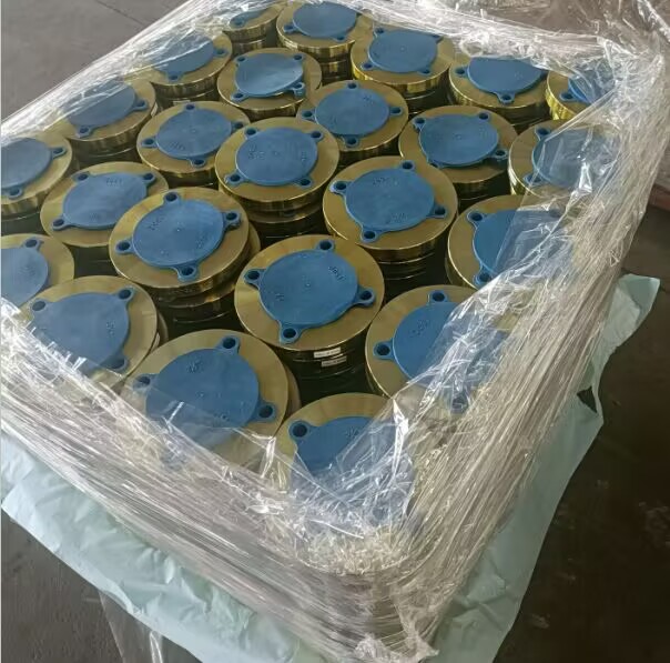 Đây là các mặt bích bịt kín bằng đồng thau có nắp bảo vệ – các bộ phận đường ống được sử dụng để bịt kín các đầu đường ống. Mỗi mặt bích (làm bằng đồng thau chống ăn mòn) đều có lỗ bu lông để cố định chắc chắn, và nắp nhựa màu xanh lam che phủ bề mặt tiếp xúc để bảo vệ khỏi bụi bẩn, trầy xước hoặc hư hỏng trong quá trình lưu trữ/vận chuyển.