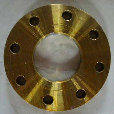 FLANGIA DELLA PIASTRA